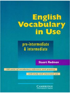 Rich Results on Google's SERP when searching for 'English Vocabulary in Use Pre-Intermediat'